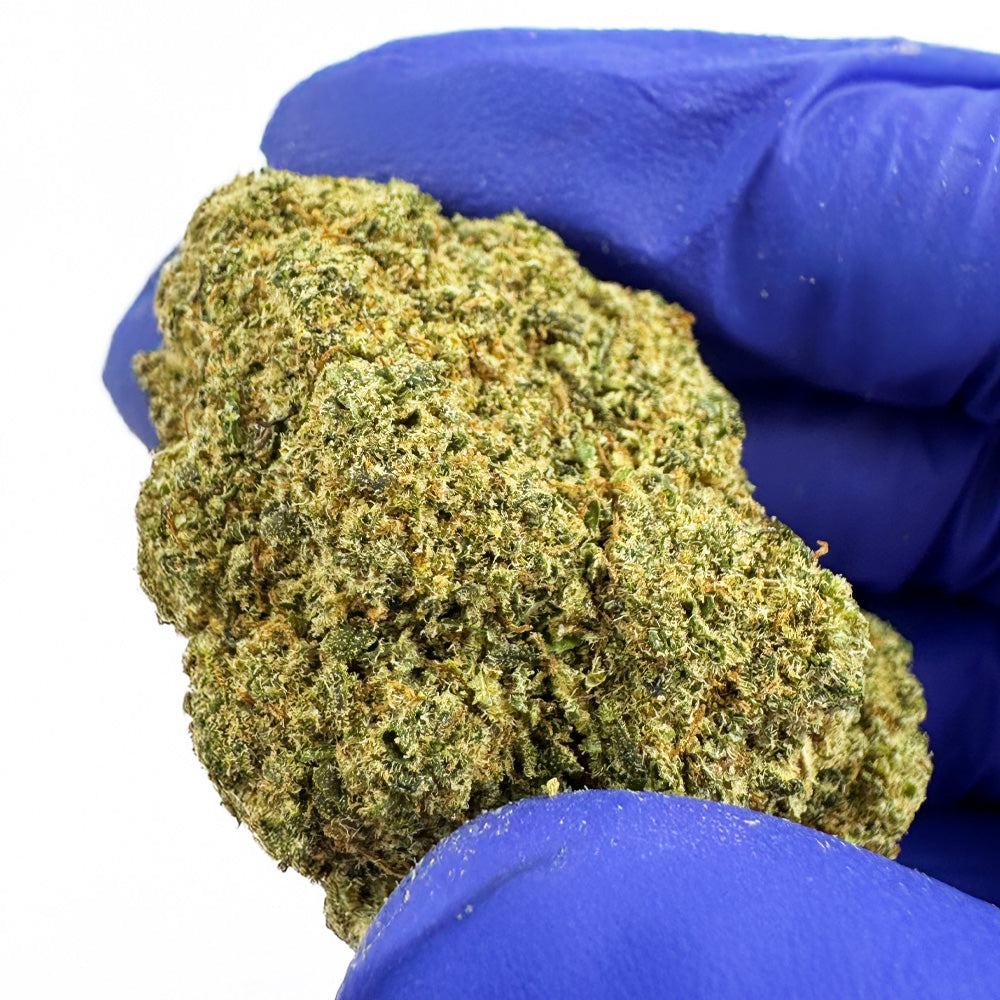 Gelato OG par DELI-CANNA, cannabis en fleurs de 3g à 4,70g, visible dans un emballage transparent.