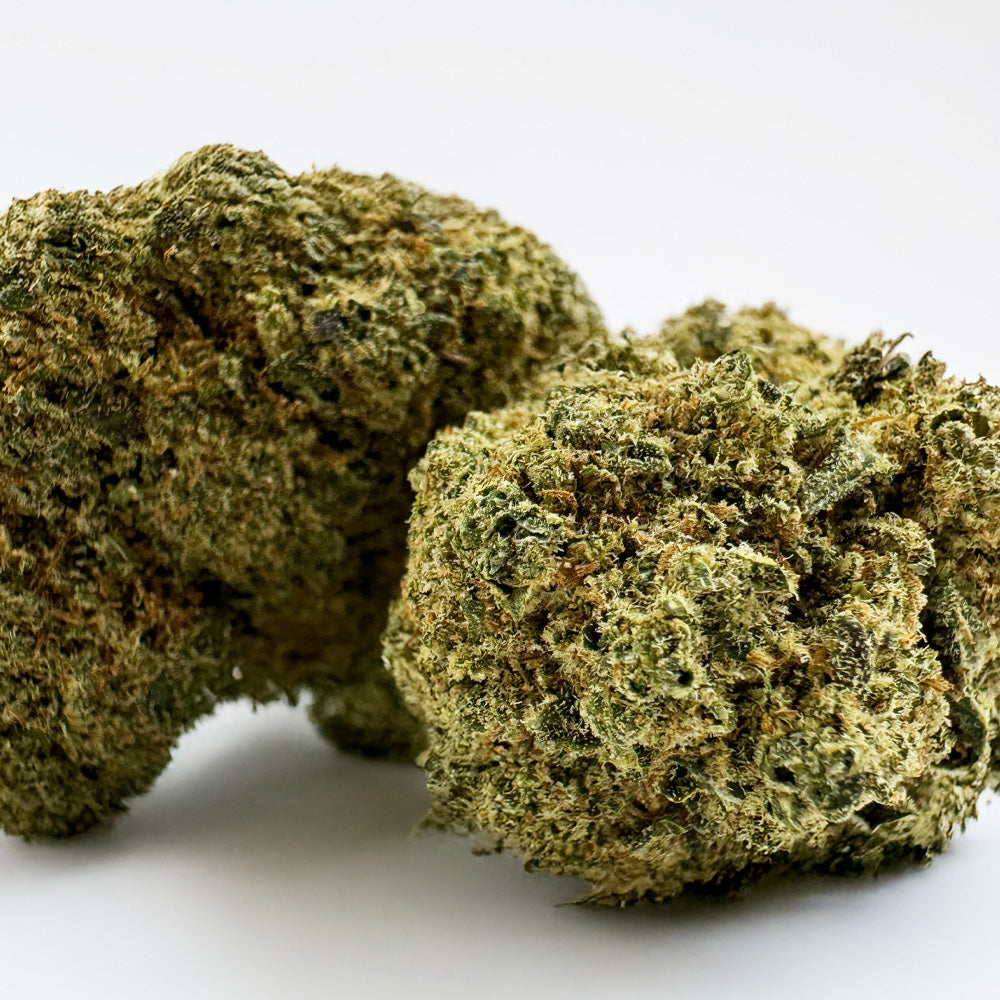 Gros plan d'un flacon de 3g de Gelato OG de la marque DELI-CANNA, avec étiquette et contenu visible.