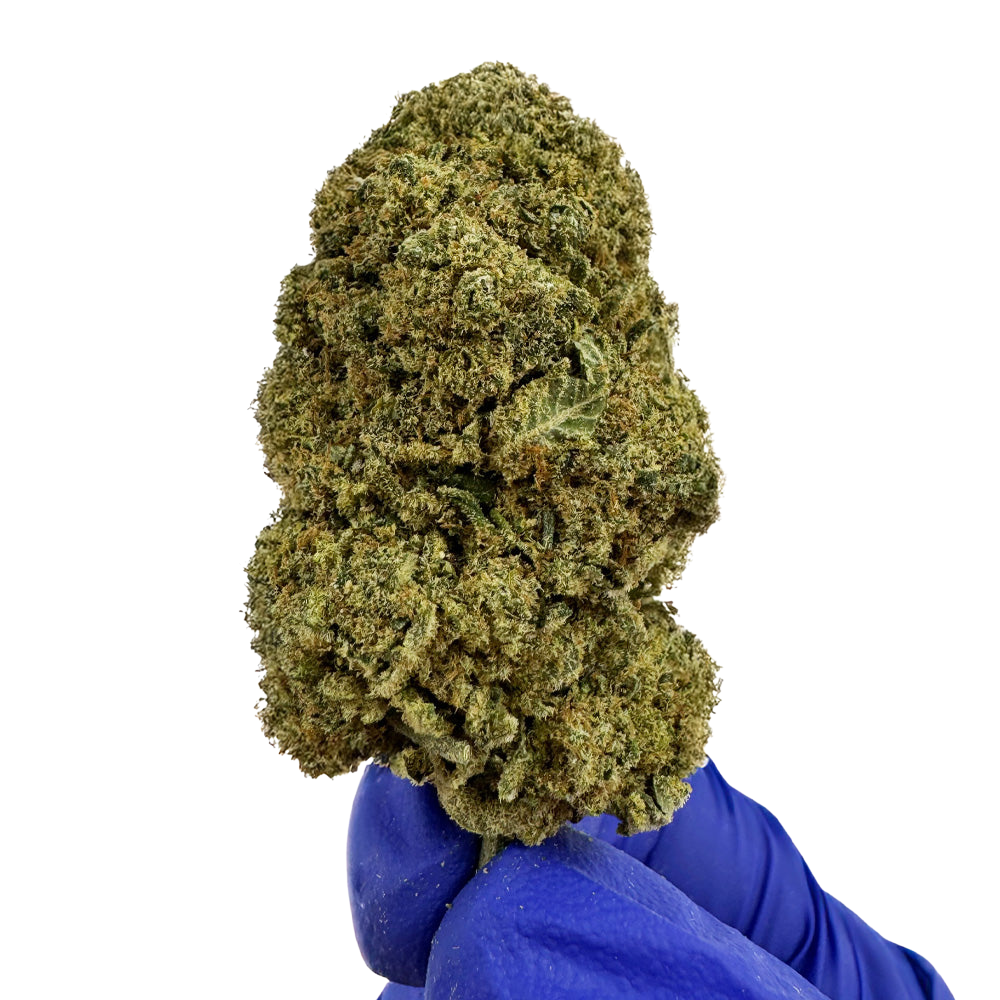 Gelato OG par DELI-CANNA, flacon de 3g de cannabis avec étiquette colorée et logo de la marque.