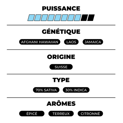 Fleurs de cannabis Amnesia CBX de DELI-CANNA, 3g, avec buds vertes et résine, en gros plan.