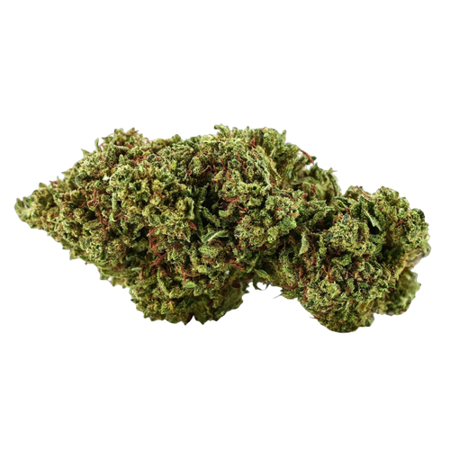 Gorilla Glue CBX