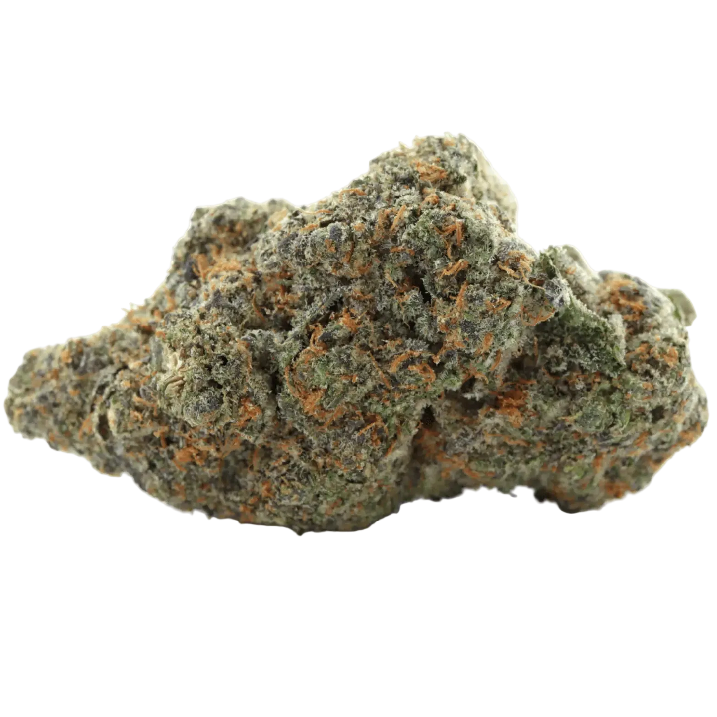 Amnesia CBX