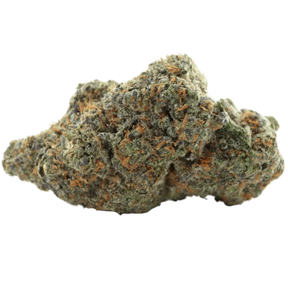 Amnesia CBX