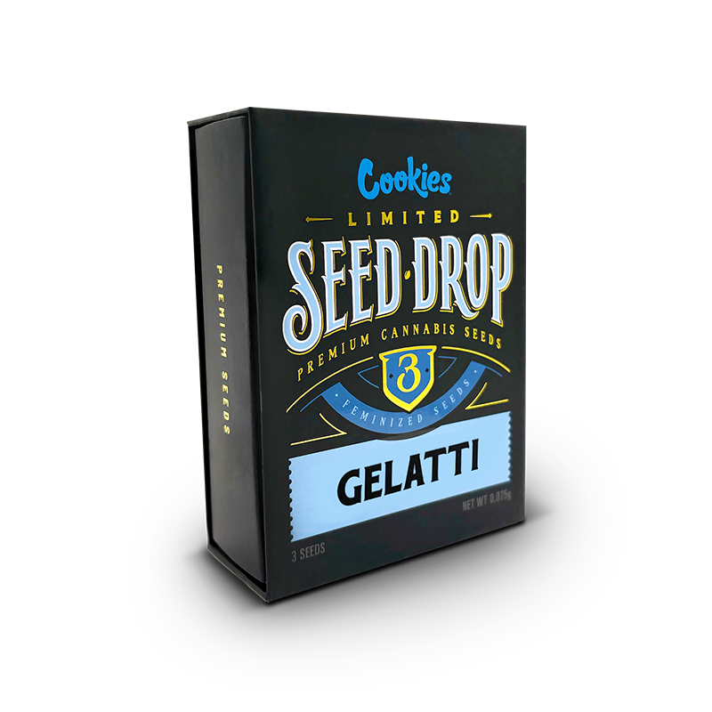 Graines de cannabis THC Gelatti de la marque Cookies, vue en gros plan avec emballage blanc en arrière-plan.