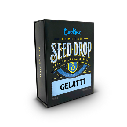 Graines de cannabis THC Gelatti de la marque Cookies, vue en gros plan avec emballage blanc en arrière-plan.