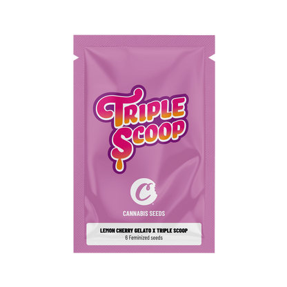 Graines féminisées Cookies Lemon Cherry Gelato, variété de graines de cannabis, avec emballage transparent montrant les graines.