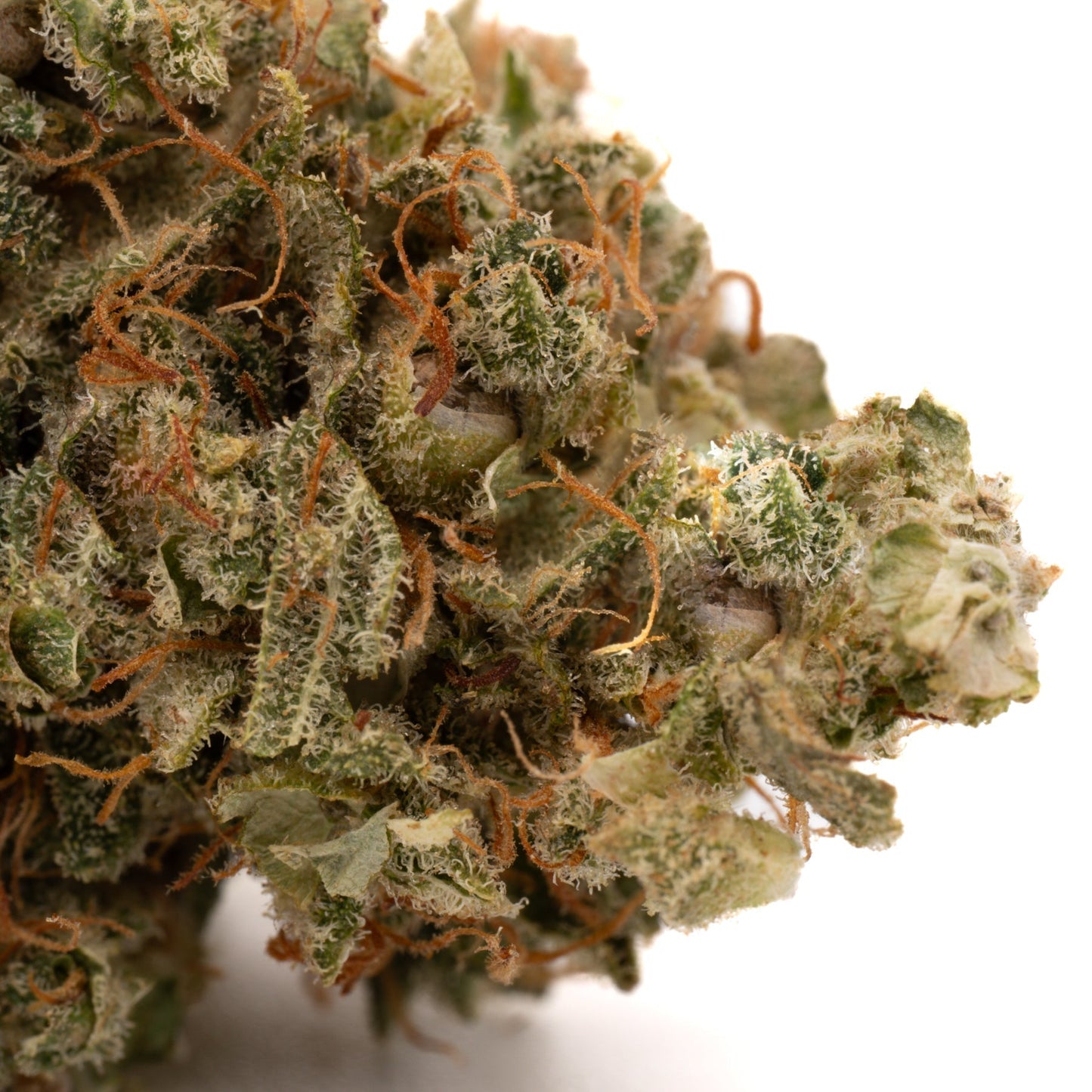 California Kush TH-X