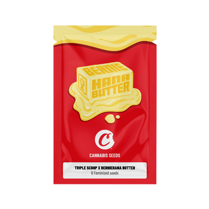 Graines féminisées Cookies, variété de graines de cannabis, illustrées sur fond transparent avec logo et détails du produit.